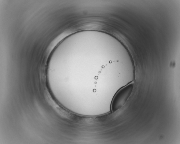 X0000112851434200909111435