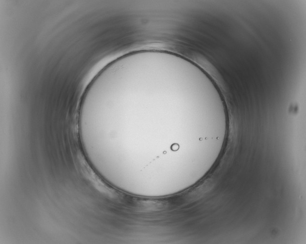 X0000112851436200909111435