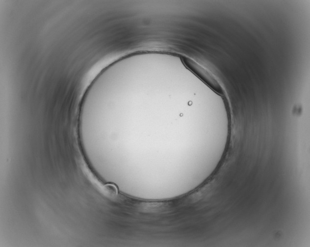 X0000112851437200909111435