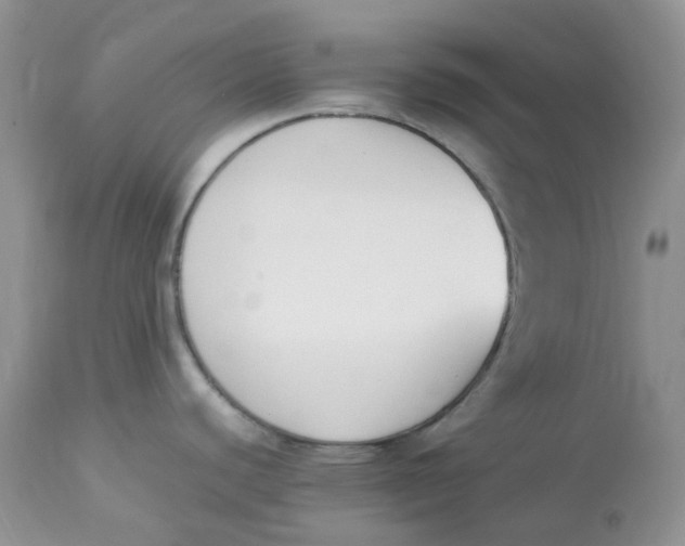 X0000112851440200909111435