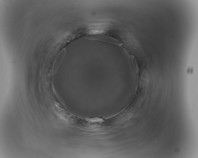 X0000112851441200909111434