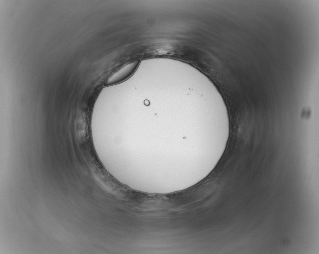 X0000112851442200909111434