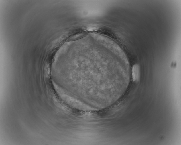 X0000112851443200909111434