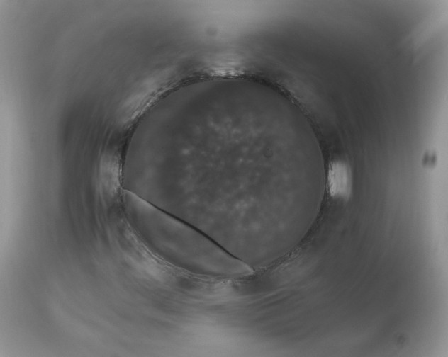 X0000112851444200909111434