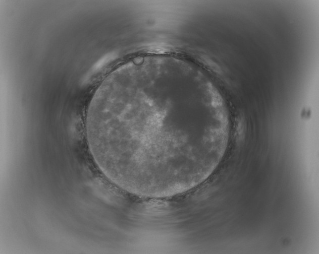 X0000112851446200909111434