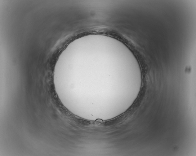 X0000112851447200909111434