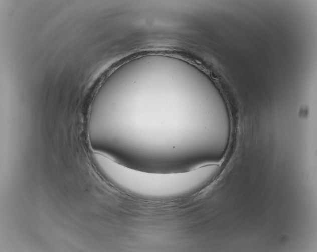 X0000112851449200909111434