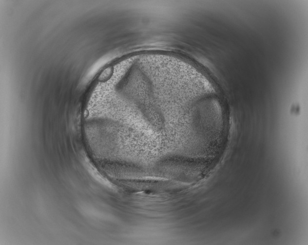 X0000112851450200909111434