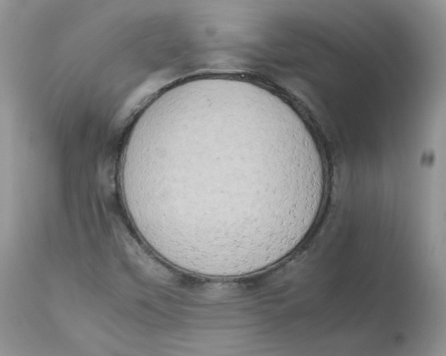 X0000112851451200909111434