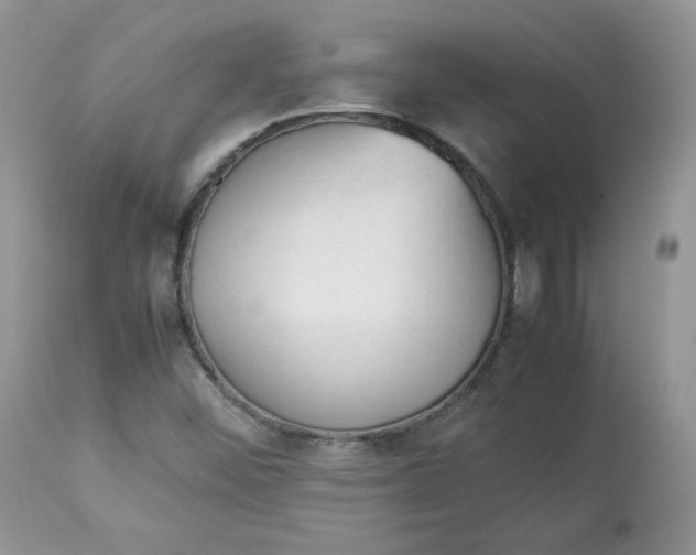 X0000112851452200909111434