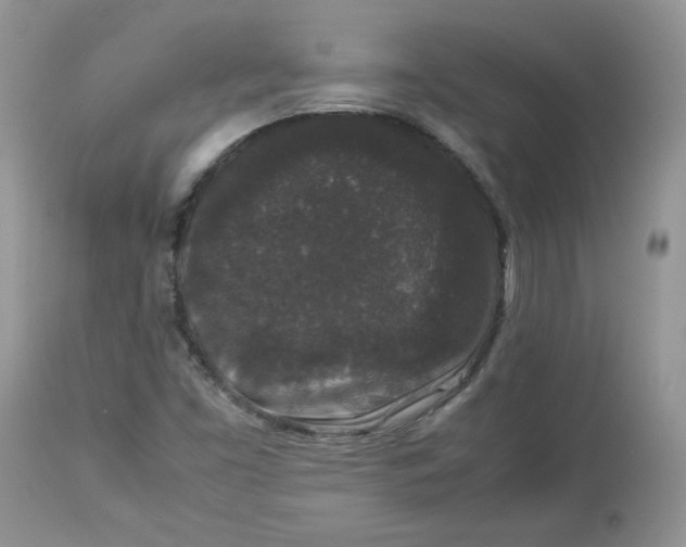 X0000112851453200909111434