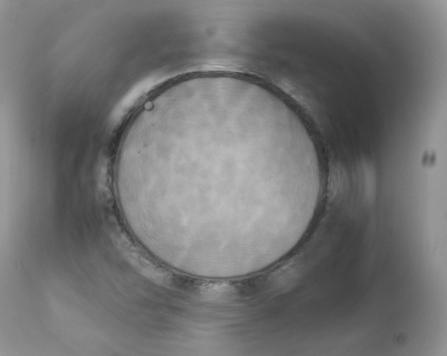 X0000112851454200909111434