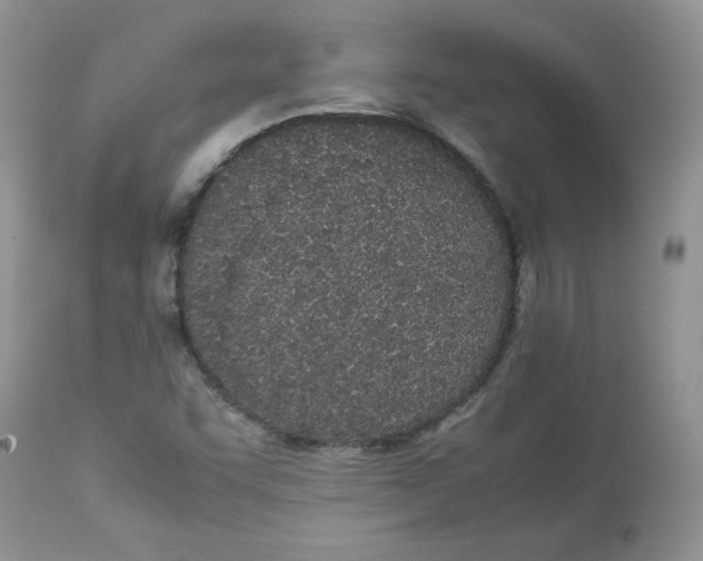 X0000112851455200909111434