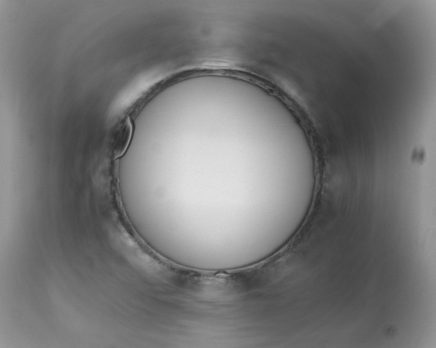 X0000112851456200909111434