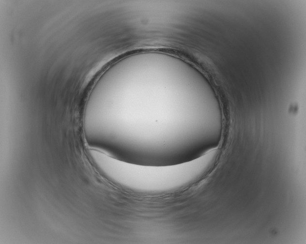 X0000112851457200909111434