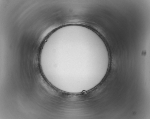 X0000112851458200909111434