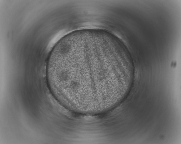 X0000112851459200909111434