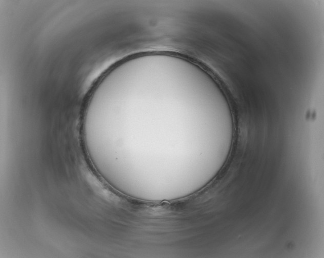 X0000112851460200909111434