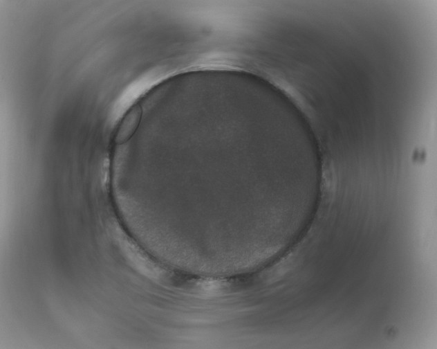 X0000112851461200909111434