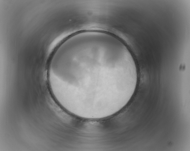 X0000112851462200909111434