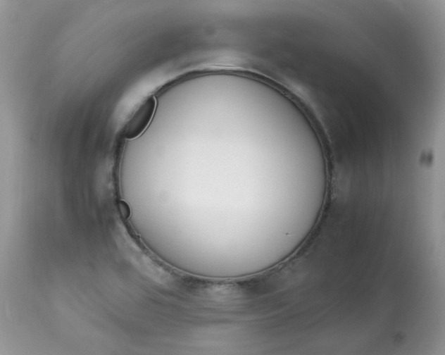 X0000112851464200909111434