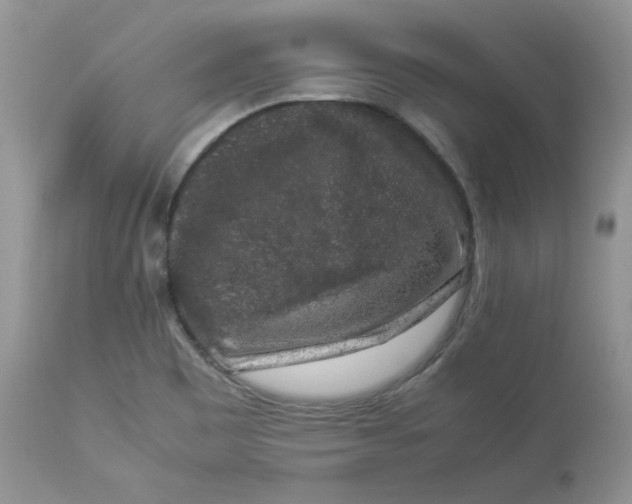 X0000112851465200909111434