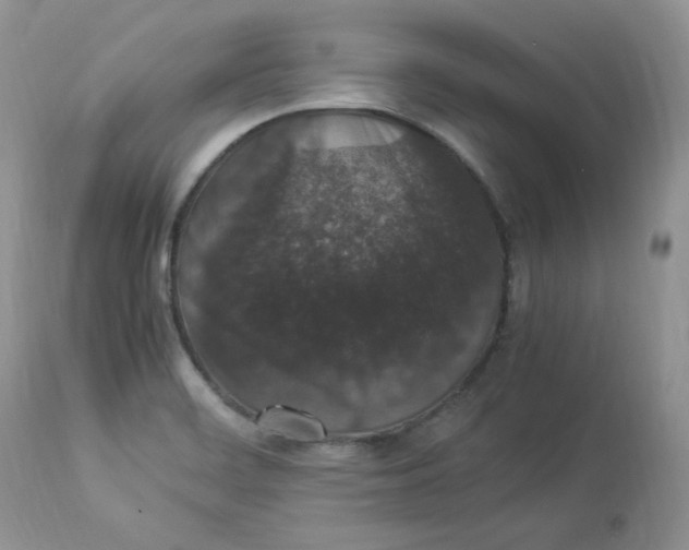 X0000112851468200909111434