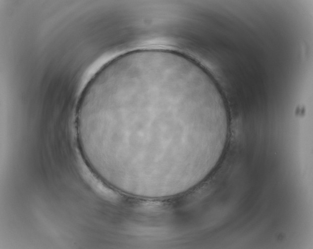 X0000112851470200909111434