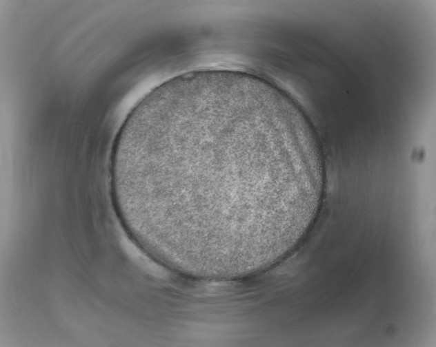 X0000112851471200909111434