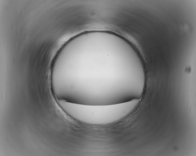 X0000112851472200909111434