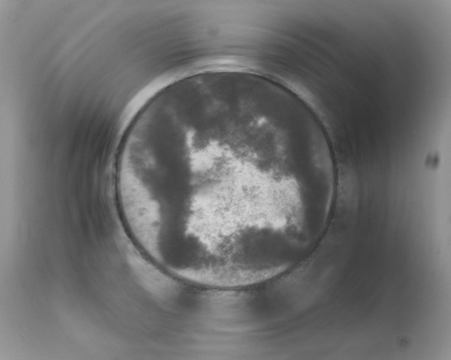 X0000112851474200909111434