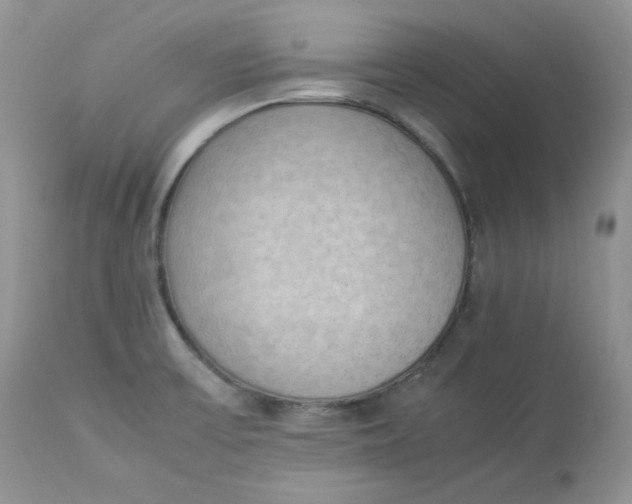 X0000112851475200909111434