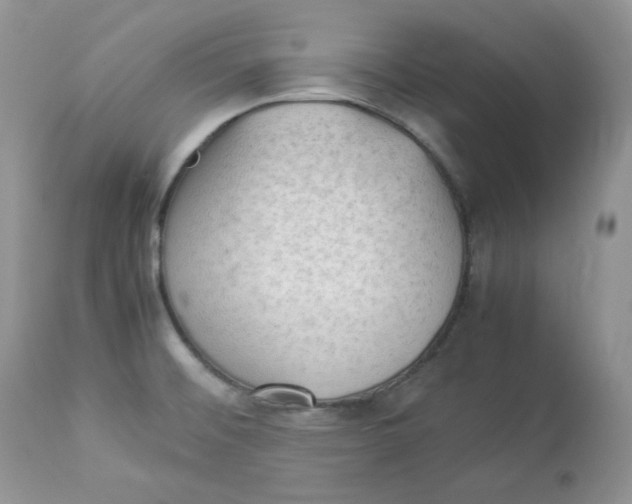 X0000112851476200909111434