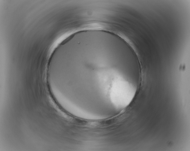 X0000112851477200909111434