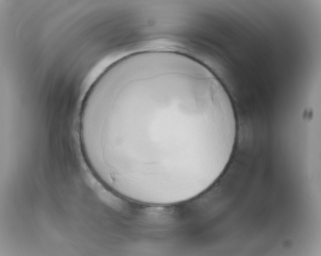 X0000112851478200909111434