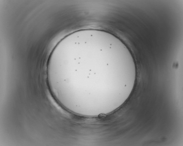 X0000112851479200909111434