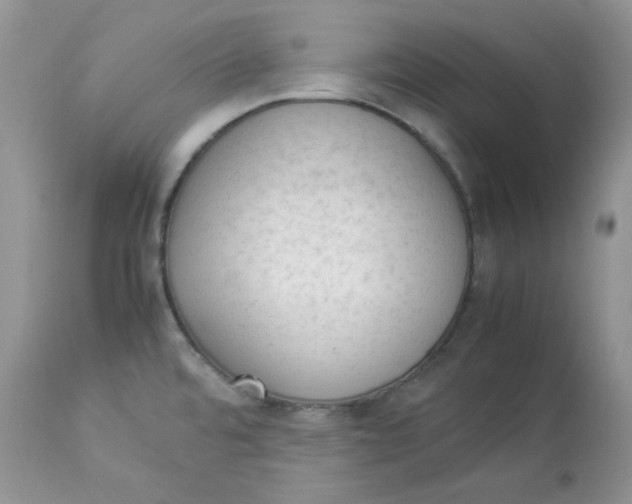 X0000112851480200909111434