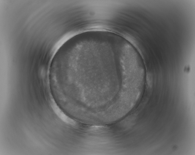 X0000112851482200909111433