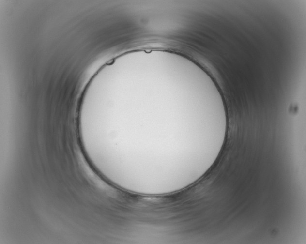 X0000112851483200909111433