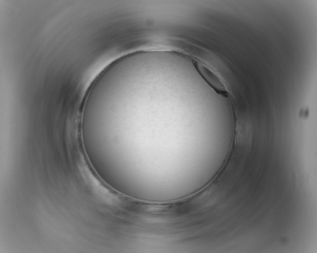 X0000112851484200909111433