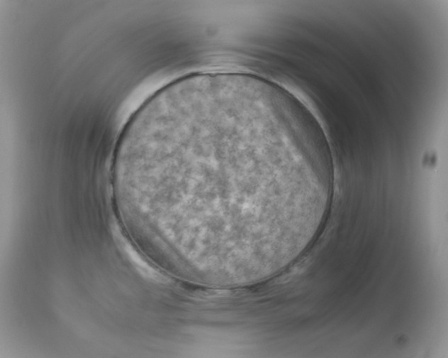 X0000112851485200909111433