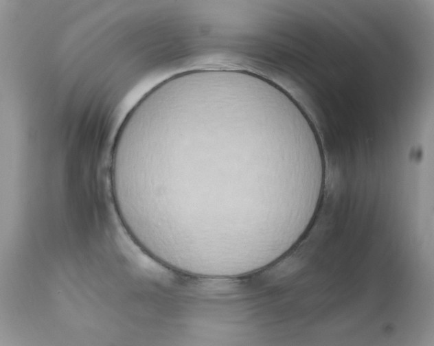 X0000112851486200909111433