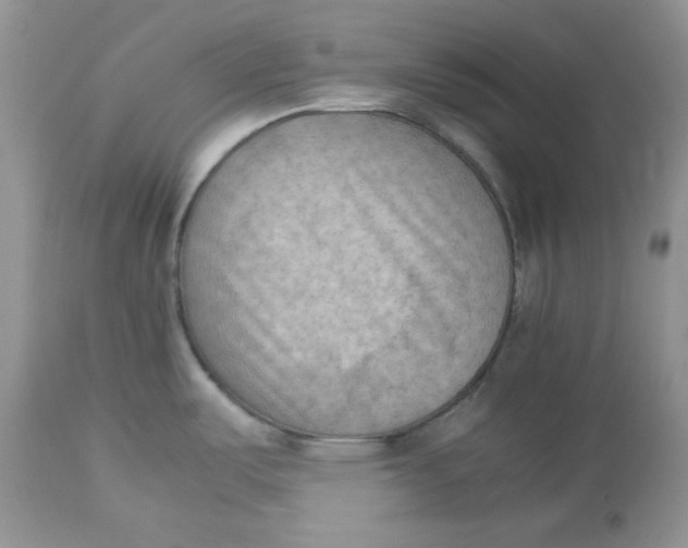 X0000112851487200909111433