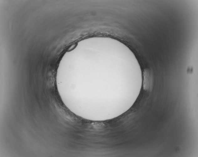 X0000112851491200909111433