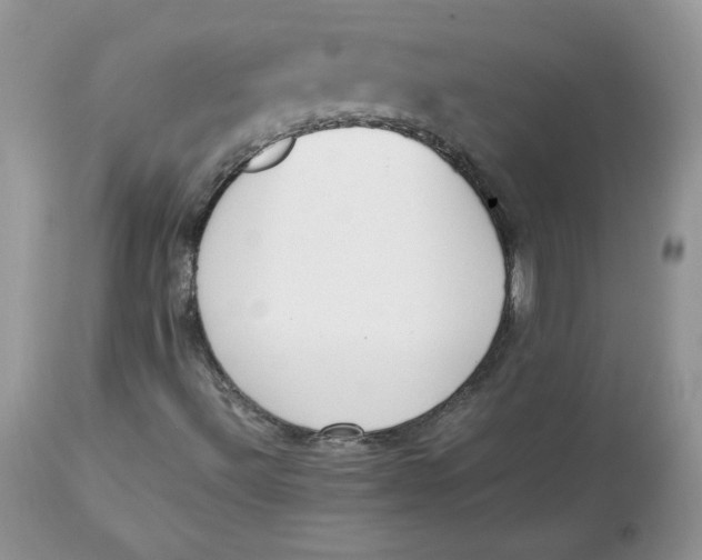 X0000112851492200909111433