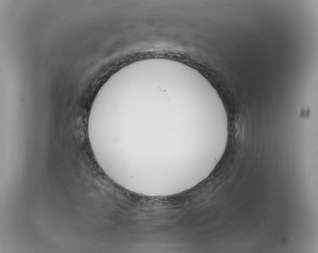 X0000112851493200909111433