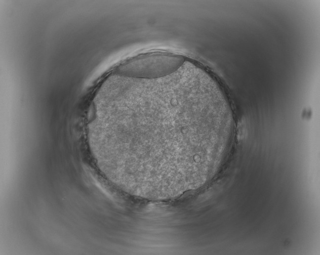 X0000112851496200909111433