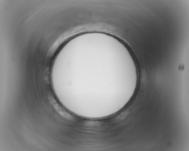 X0000112851499200909111433