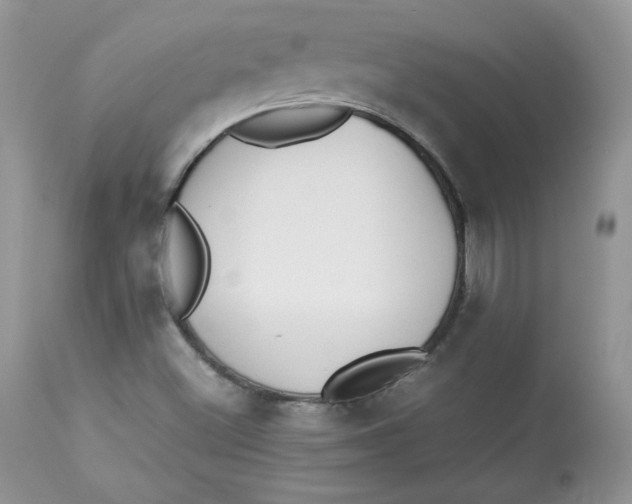 X0000112851500200909111433