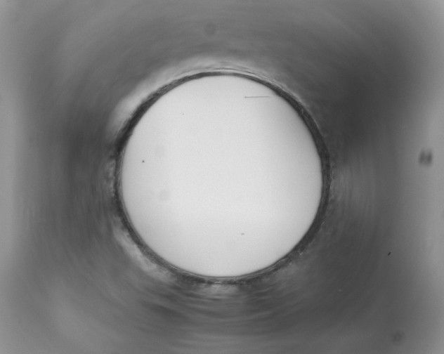 X0000112851503200909111433